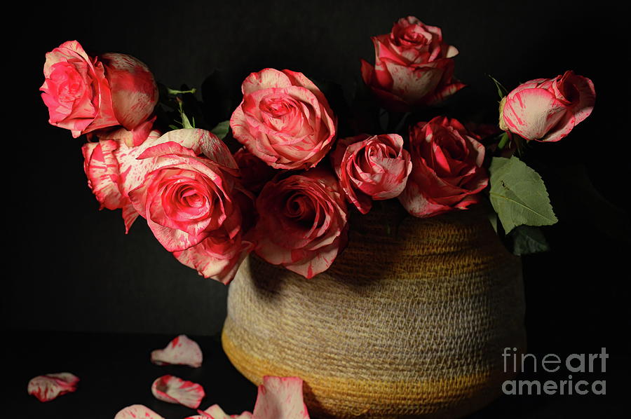 Scentimental Roses by Diana Mary Sharpton Scentimental Roses by Diana Mary Sharpton