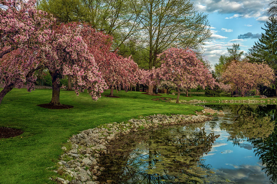 Schedel Arboretum And Gardens 5423 Photograph by Jamison Moosman - Fine ...