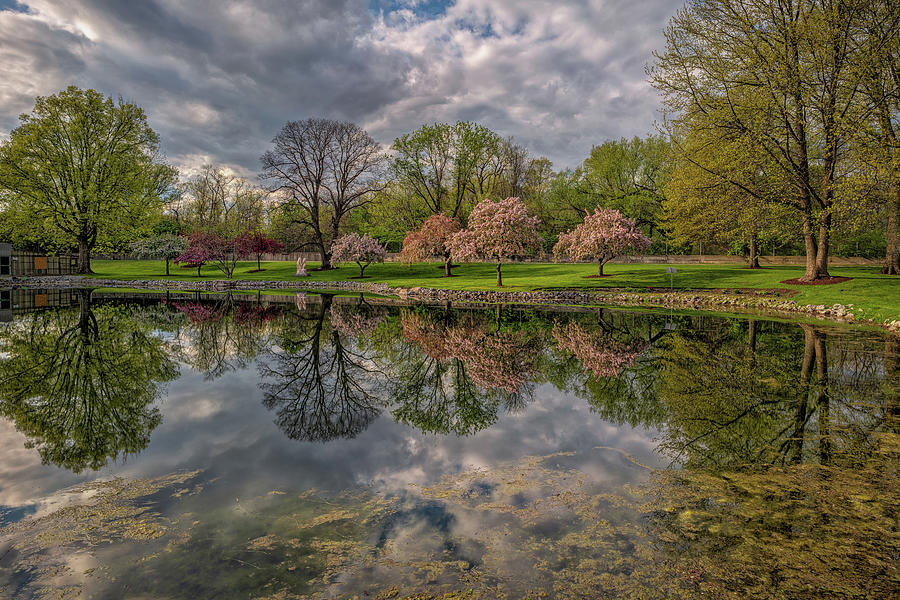 Schedel Arboretum and Gardens 54231 Photograph by Jamison Moosman ...