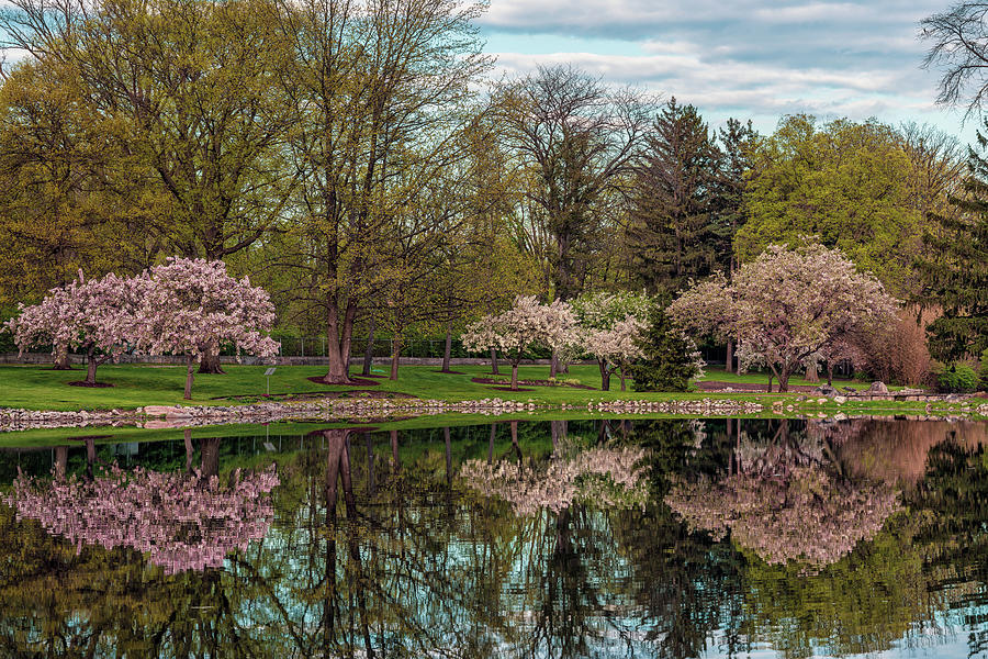 Schedel Arboretum and Gardens 54232 Photograph by Jamison Moosman ...