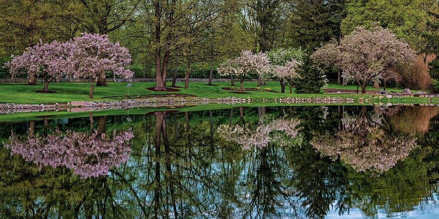 Schedel Arboretum and Gardens Panorama Photograph by Jamison Moosman ...