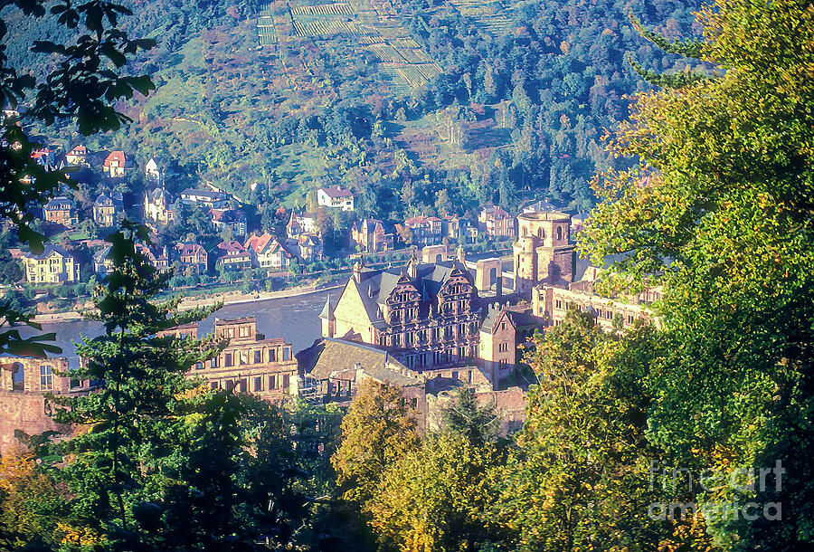 Schloss Heidelberg Photograph by Bob Phillips