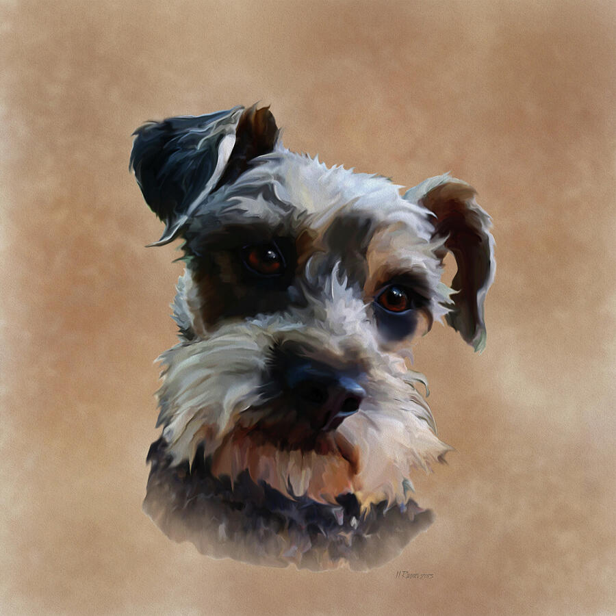 Schnauzer Digital Art by Bamalam Art Schnauzer Digital Art by Bamalam Art