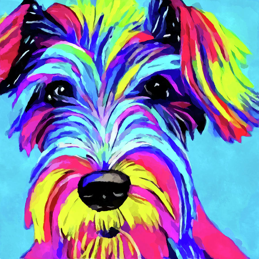 Schnauzer Painting by Chris Butler - Fine Art America