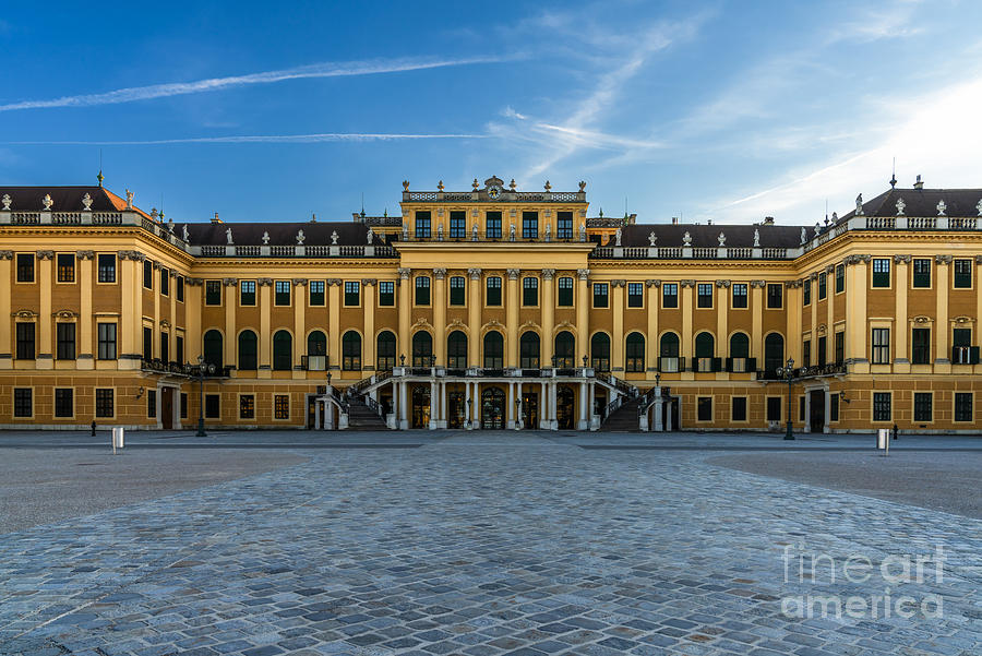 Flower Photograph - Schonbrunn Palace by Nando Lardi