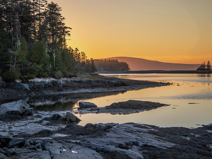 Schoodic Peninsula Acadia NP 1 Sunset Photograph by Michael Saunders