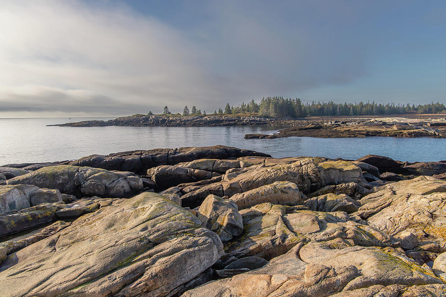 Schoodic Peninsula Blueberry Hill Acadia NP 1 Photograph by Michael Saunders