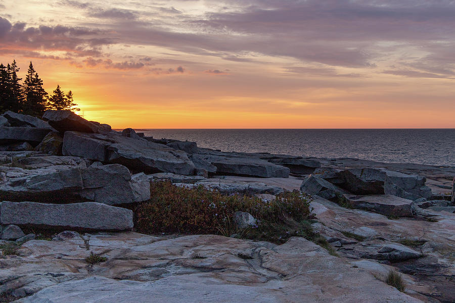 Schoodic Point Acadia NP Sunrise 4 Photograph by Michael Saunders