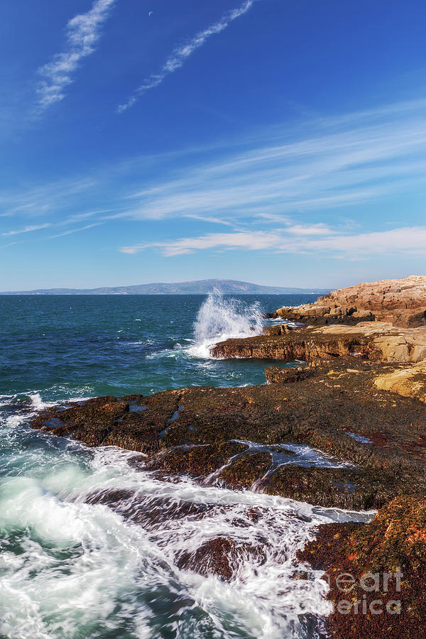 Schoodic Point II by Sharon Seaward Schoodic Point II by Sharon Seaward