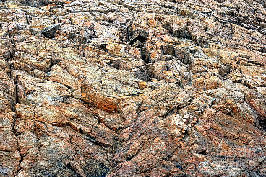 Schoodic Rocks Photograph by Olivier Le Queinec