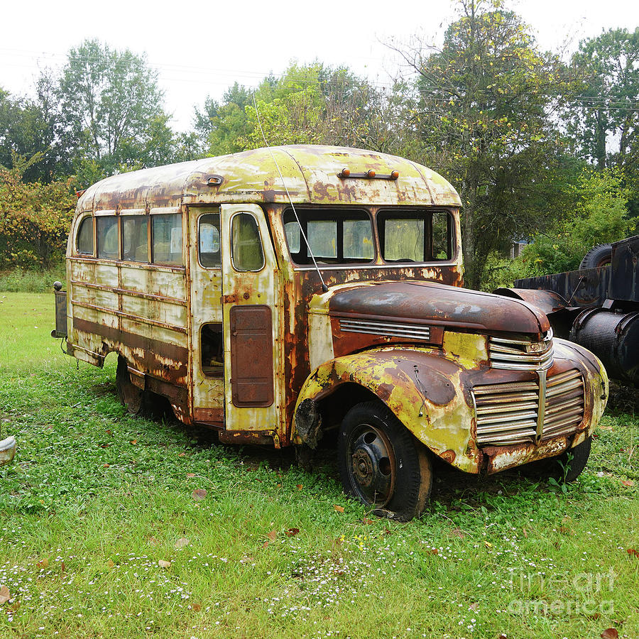 School Bus Photograph by Dwight Cook - Fine Art America