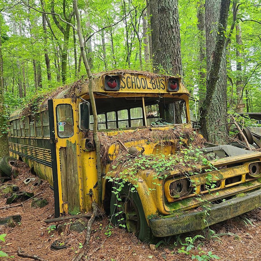 School Bus Photograph by Kazan Durante | Fine Art America