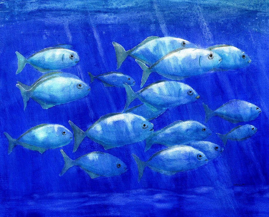 School of Fish Painting by Carlin Blahnik CarlinArtWatercolor