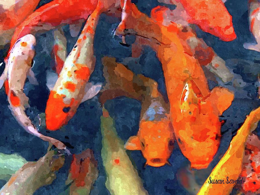 School of Koi Photograph by Susan Savad