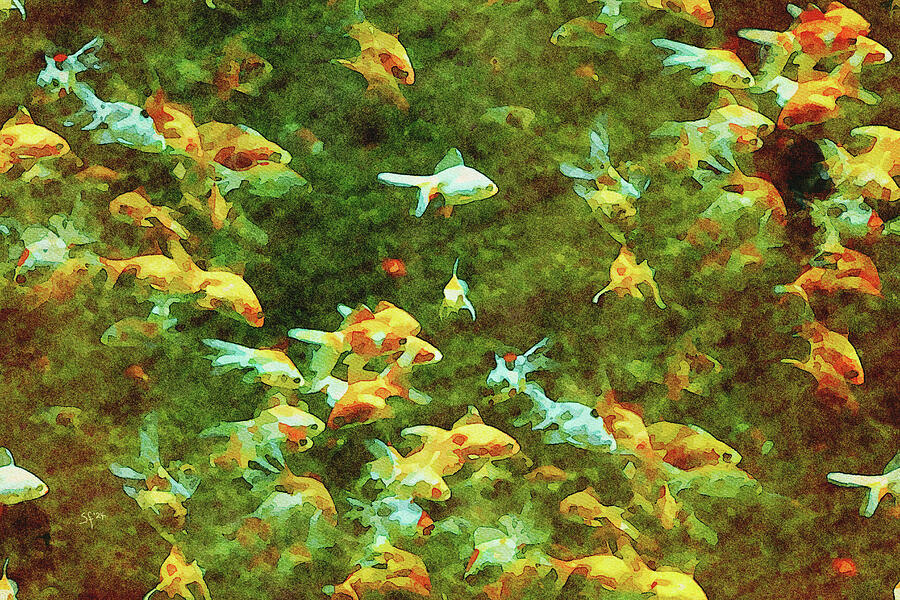 School of Wild Goldfish Watercolor  Mixed Media by Shelli Fitzpatrick