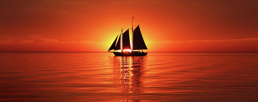 Schooner Eclipses the Sunset Pano Photograph by David T Wilkinson