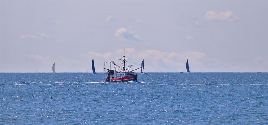 - Schooners and fishing boat Photograph by THERESA Nye