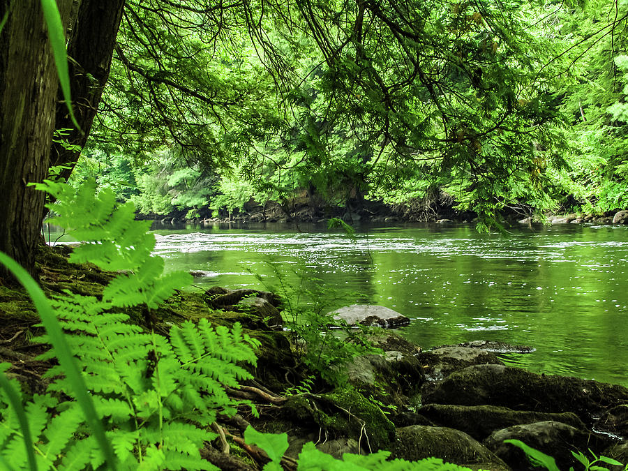 Schroon River Adirondacks Photograph