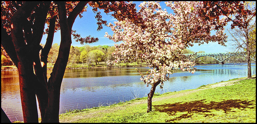 Spring Photograph - Schuykill River, Philadelphia by A Macarthur Gurmankin