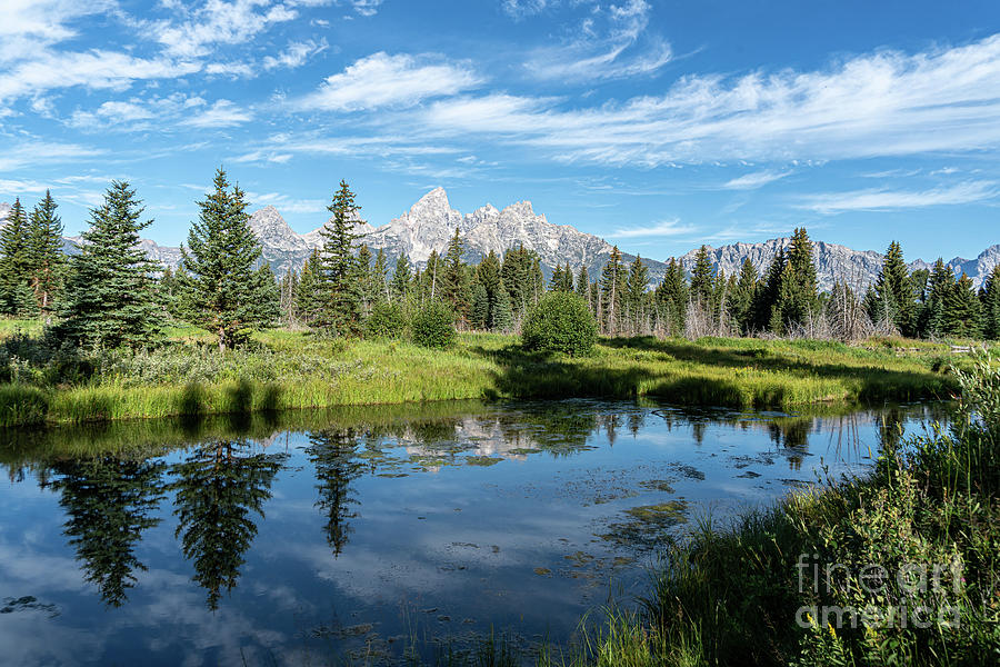 Schwabacher Landing Photograph by Cathy Donohoue