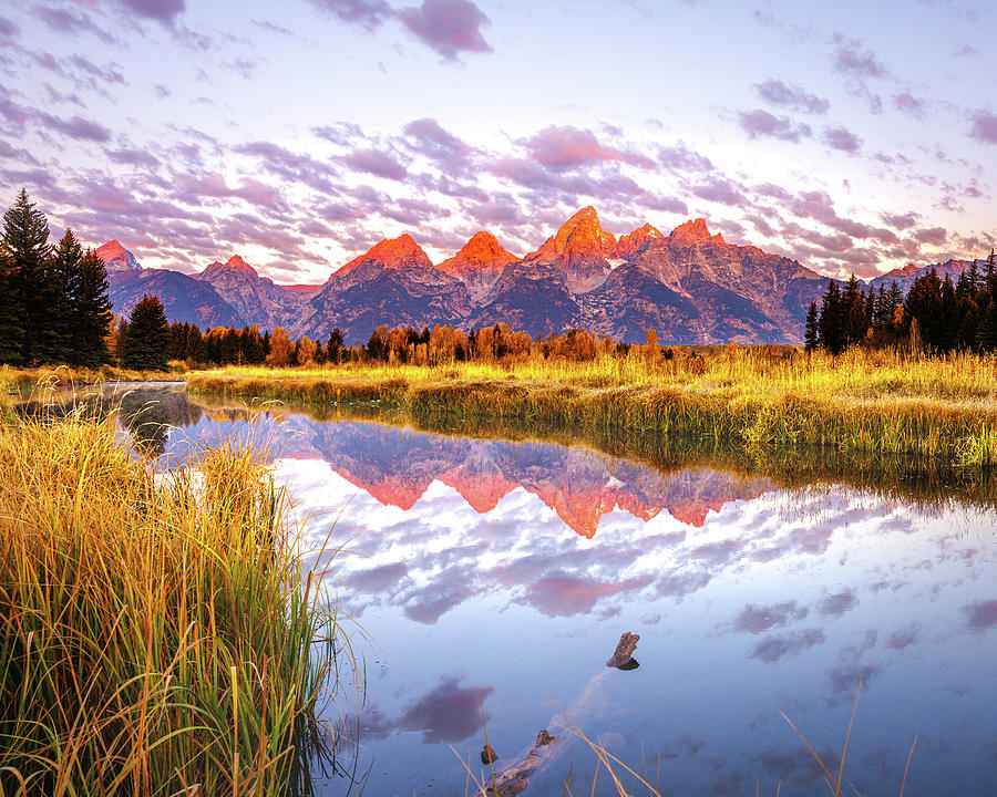 Schwabachers Landing - Grand Tetons Photograph by Eiden Photography ...