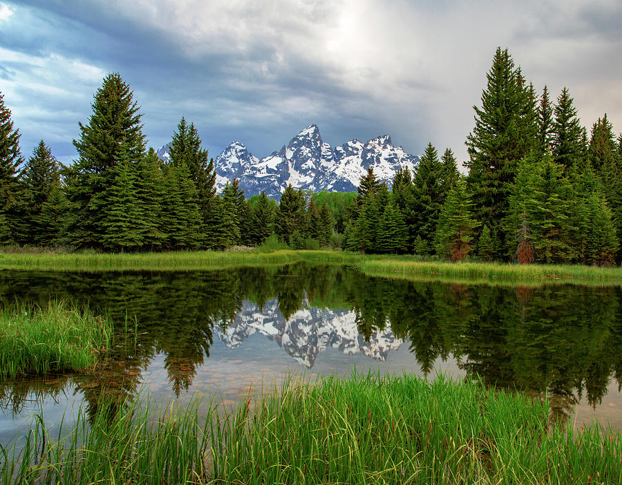 Schwabachers Reflection In Spring Photograph by Dan Sproul