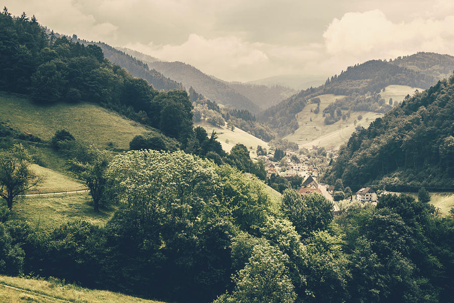 Schwarzwald Summer Landscape Photograph by Pati Photography