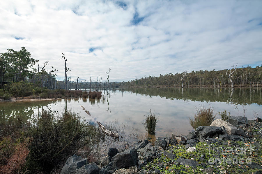 Schwenkes Dam, Greenbushes. Western Australia Photograph by Elaine Teague