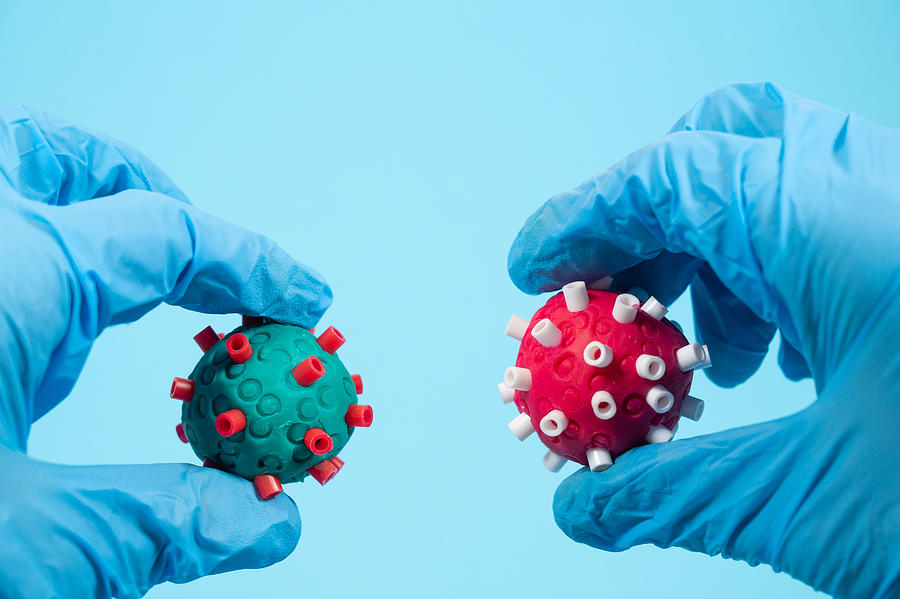 Scientists with surgical gloves holds two different Coronavirus of different color in the hand. Creative image. Photograph by Aitor Diago