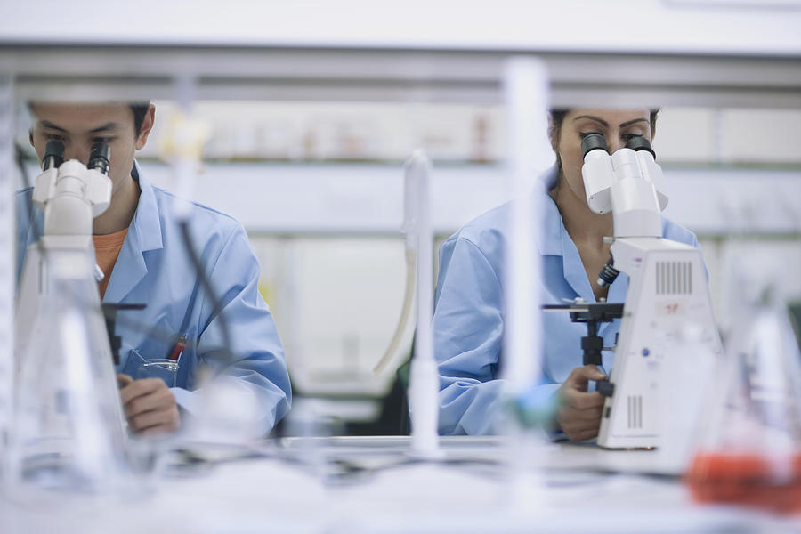 Scientists working in laboratory with microscopes Photograph by ER Productions Limited