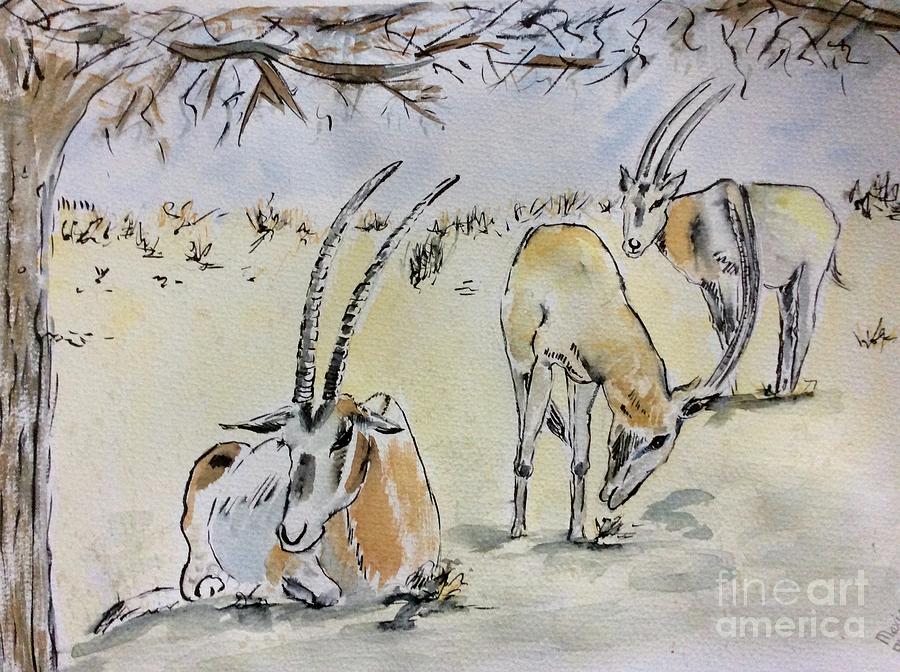 Scimitar Oryx Painting by Maxie Absell