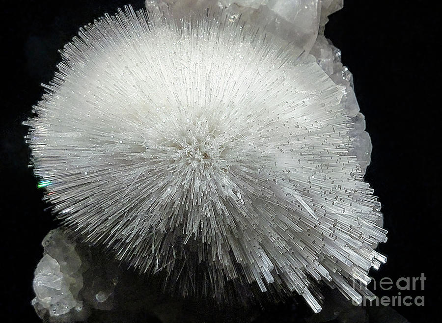 Scolecite Spray Cluster Formation at the Denver Museum of Nature Photograph by David Oppenheimer
