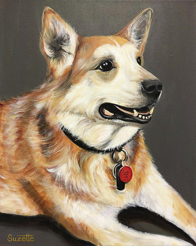 Husky Painting - Scoobie II by Suzette Castro