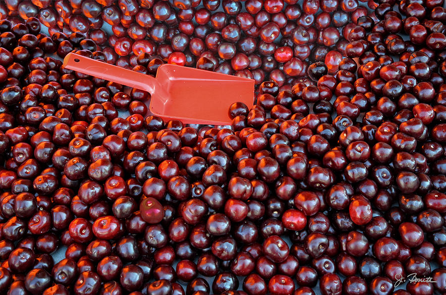 Scoop of Cherries Anyone? Photograph by Joe Bonita