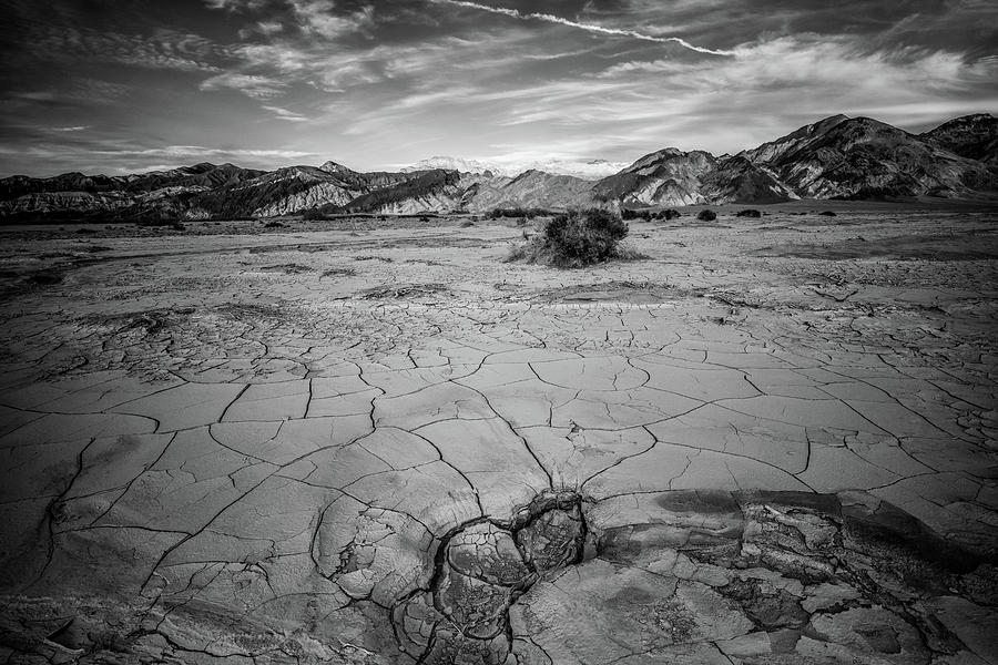 Scorched Earth Photograph by Spencer McDonald