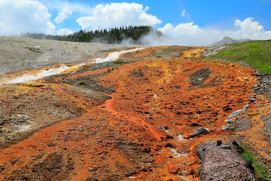 Scorched Earth Yellowstone Photograph by Dan Sproul