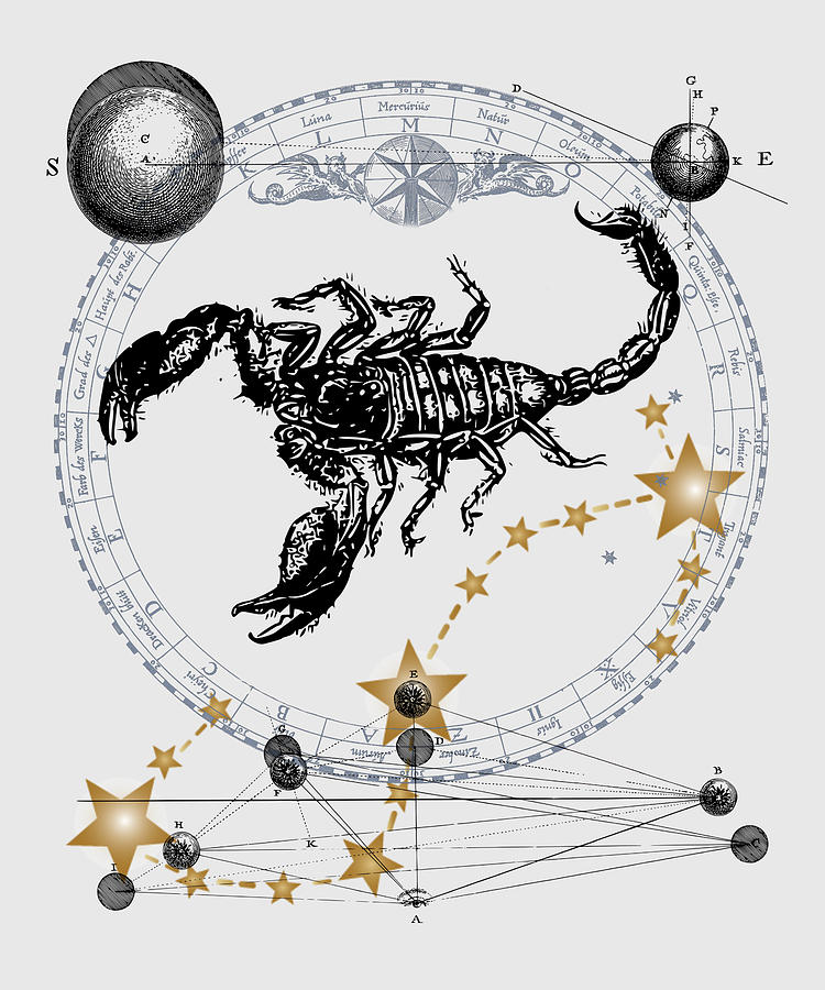 Scorpio Zodiac Sign Digital Art by Jindra Noewi