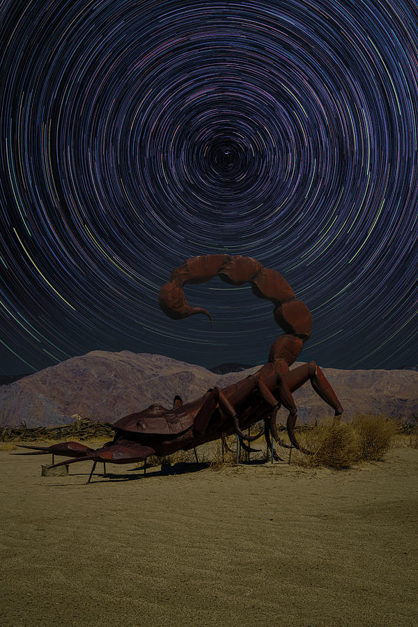 The Scorpion and Star Trails Photograph by Lindsay Thomson