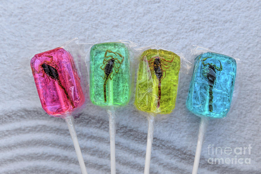 Candy Photograph -  Scorpion Lollipops by Elisabeth Lucas