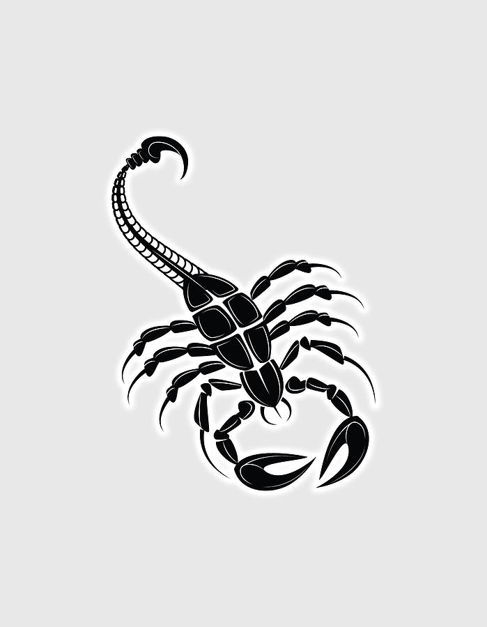 Cat Fighting Scorpion Tattoo Design | AI Art Generator | Easy-Peasy.AI
