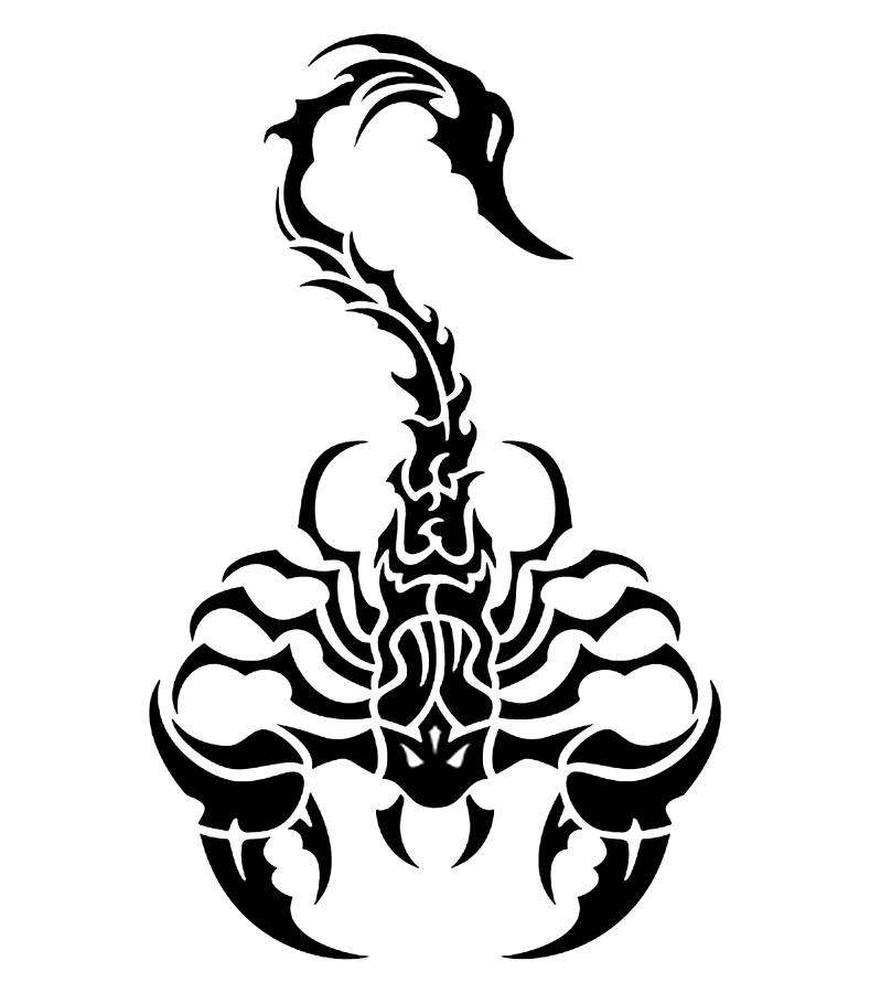 The Sting Is Worth It: Scorpion Tattoos • Tattoodo