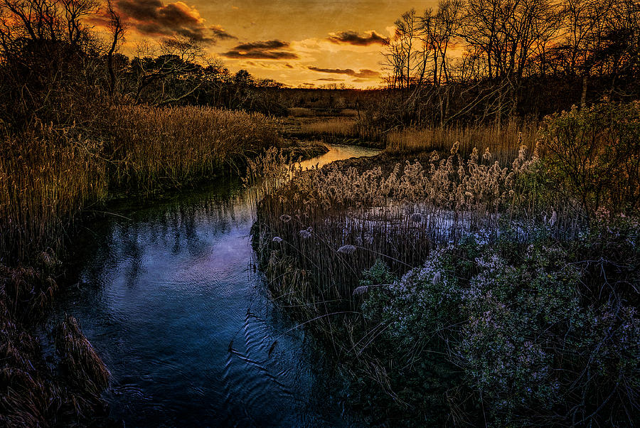 Scorton Creek Photograph by Frank Winters