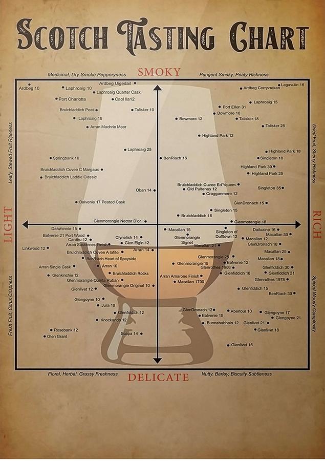 Scotch Tasting Chart Vertical Digital Art by Gene Bradford