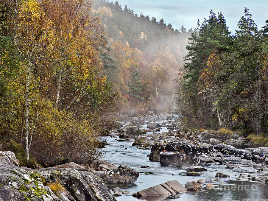 Fog Beauty Over River Scottish Golden Autumn Photograph by Tatiana Bogracheva