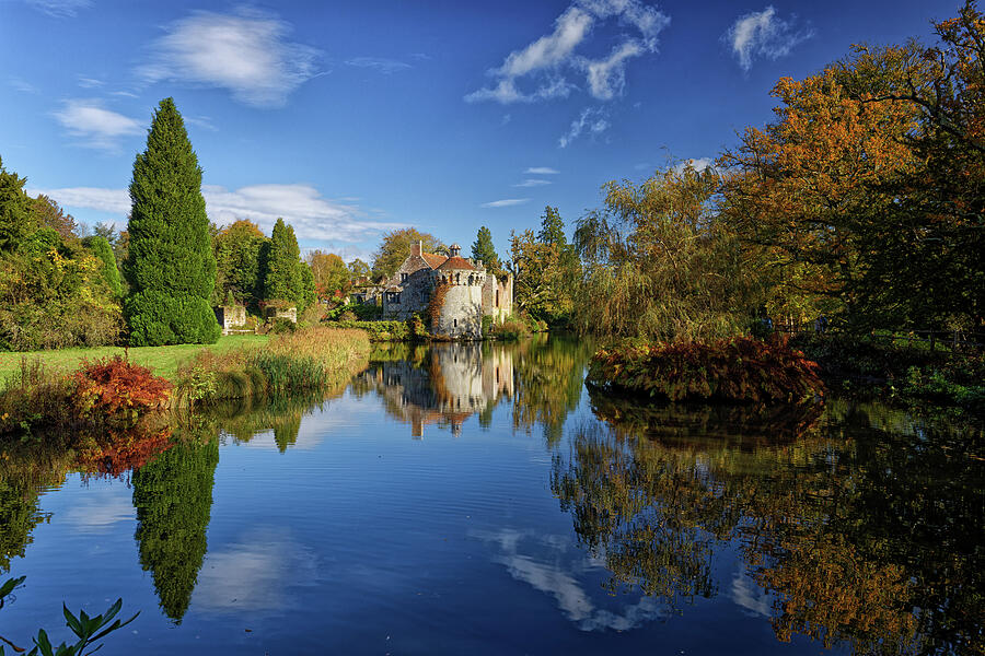 Tree Photograph - Old Scotney Castle  #1 by John Gilham