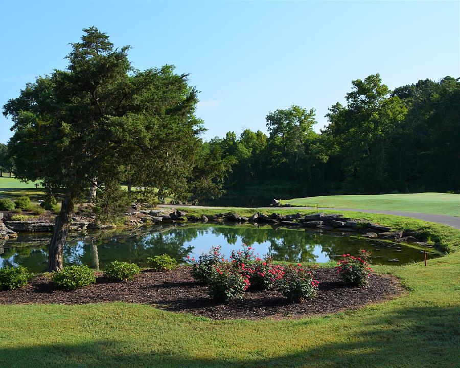 Scotsdale Golf Course, Bella Vista Photograph by Mary Christian Stewart