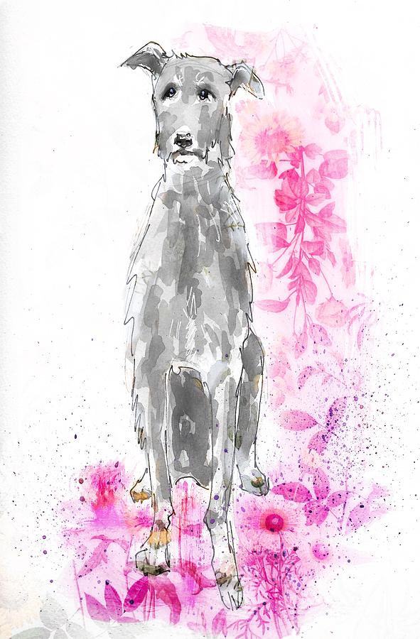Scottish Deerhound Over Pink Painting