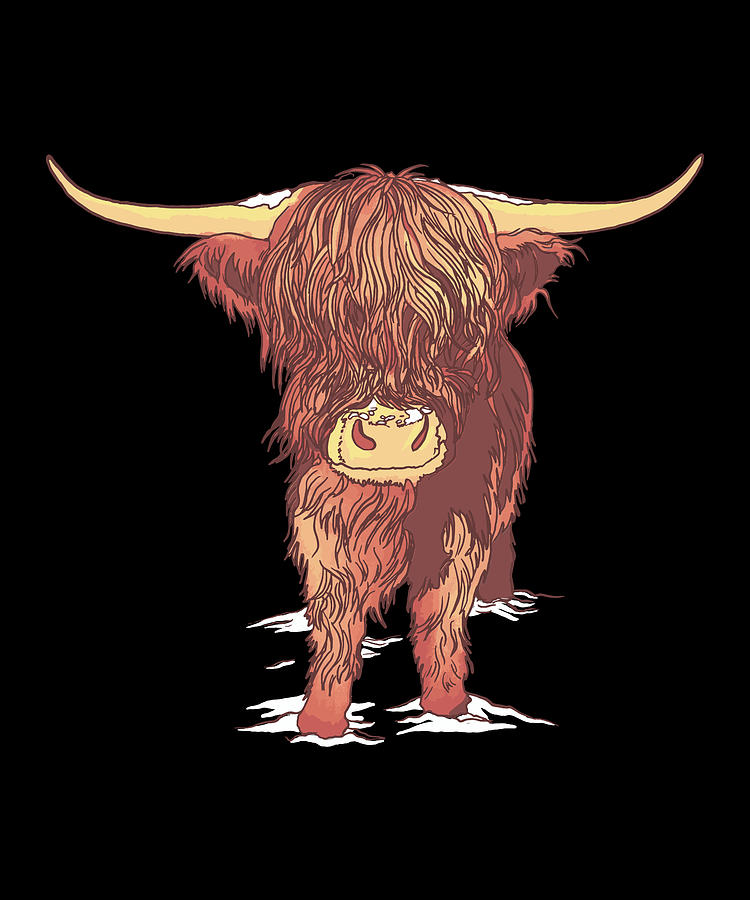 scottish highland cattle baby