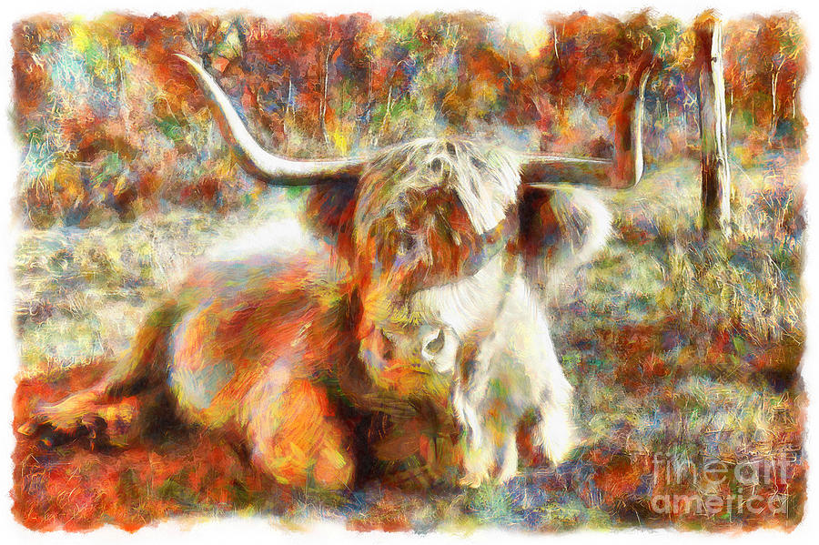 Scottish Highland Cow Abstract Photograph by Stefano Senise
