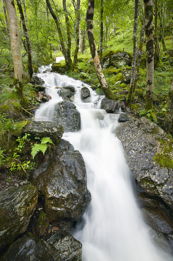 Scottish landscape with wet forest and waterfall Photograph by ABBPhoto